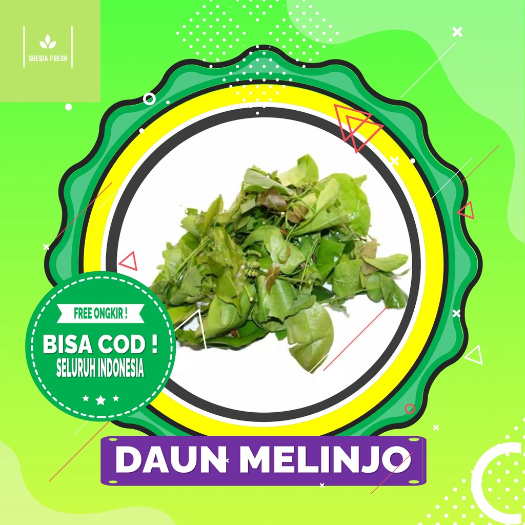 

Shesia Fresh - Daun Melinjo Organik 150 gram