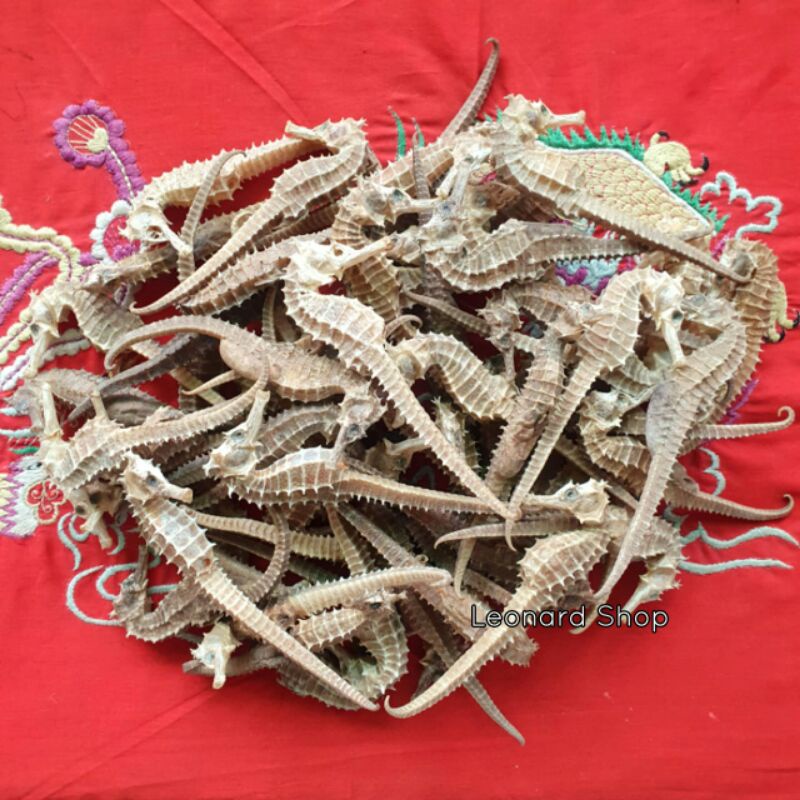 KL HAI MA 50 GRAM KERING SUPER HERBAL OBAT KESUBURAN PRIA WANITA / HAIMA / HAI MHA / GINSENG RENDAMA