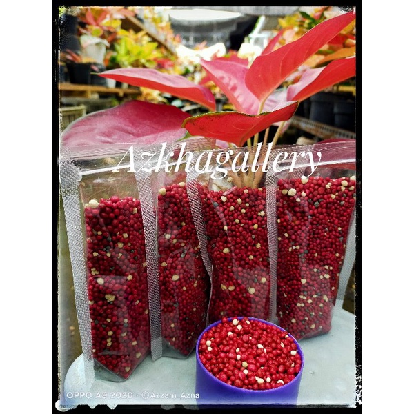 Pupuk Premium - Sk Cote/Pupuk Tanaman Hias / Sejenis Osmocote SR 19-10-13/Slow release/Pupuk semua t