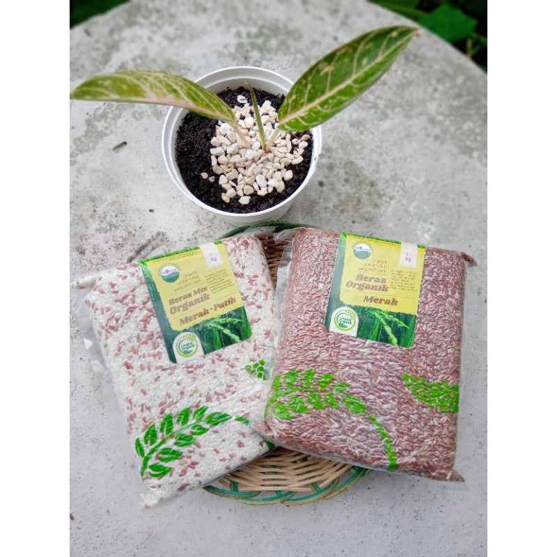 

Beras Merah dan Putih Organik