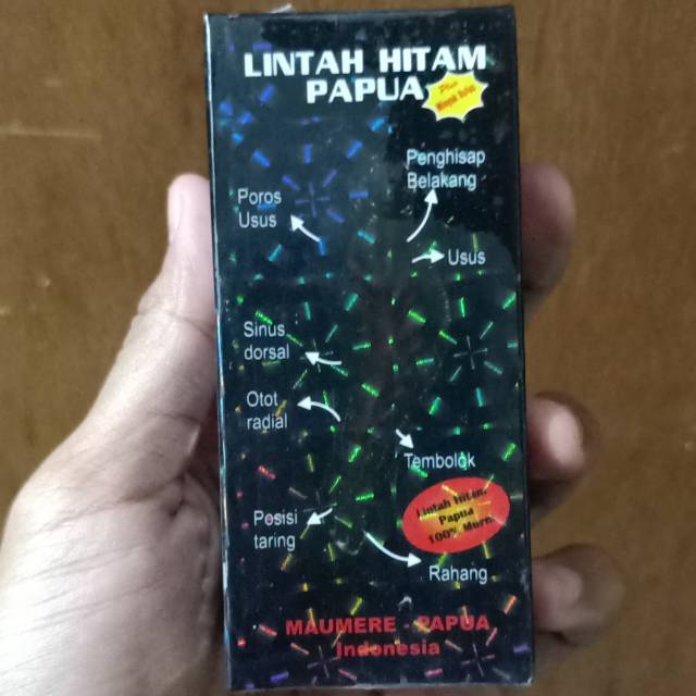 MINYAK LINTAH HITAM ASLI PAPUA (MEMPERBESAR ALAT VITAL PRIA PERMANEN)
