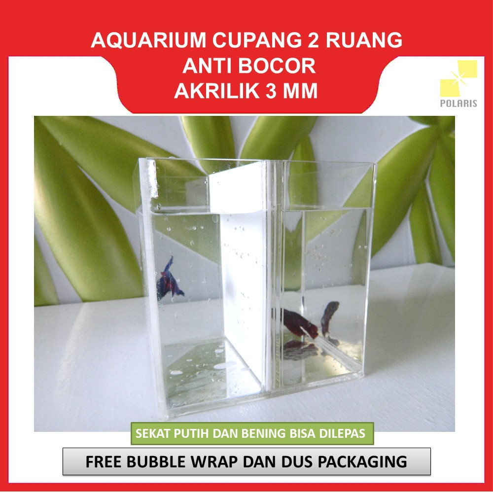 AKUARIUM IKAN CUPANG AKRILIK / SOLITER IKAN CUPANG / AQUARIUM ACRYLIC IKAN HIAS 2 RUANG