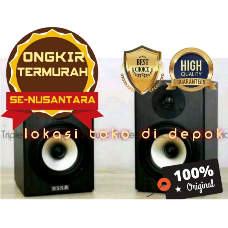 DS Coustic ISK DS5A speaker monitor flat