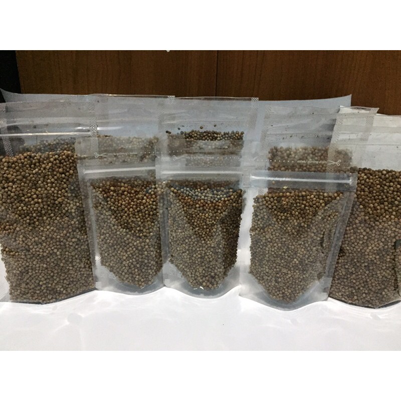 

Ketumbar Hitam | Ketumbar asli