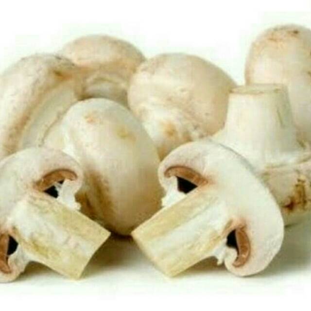 

Jamur Champignon kancing