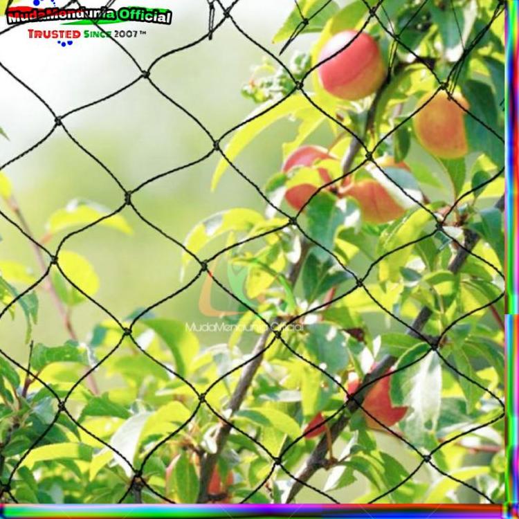 HOT Product Jaring Tanaman Buah Anggur Sayuran Anti UV/Jaring Tanaman Rambat Merambat Kuat dan Tahan