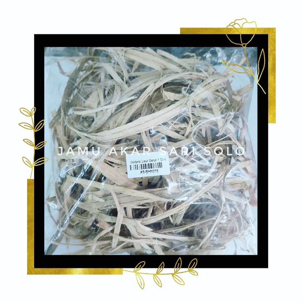 

Jamu Akar Sari - Kayu Bidara Laut Serut - Kayu Widoro Laut Serut - Mengobati Gatal - gatal