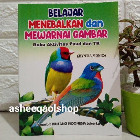 Buku Belajar Menebalkan dan Mewarnai Gambar Aktivitas Paud Dan TK