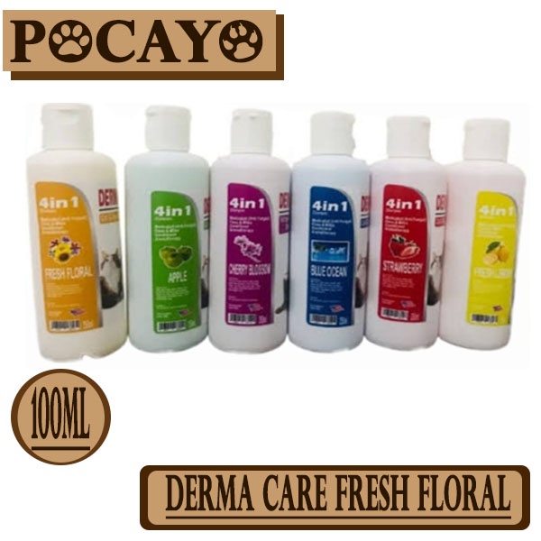 Shampoo DERMA CARE Fresh Floral 100ml