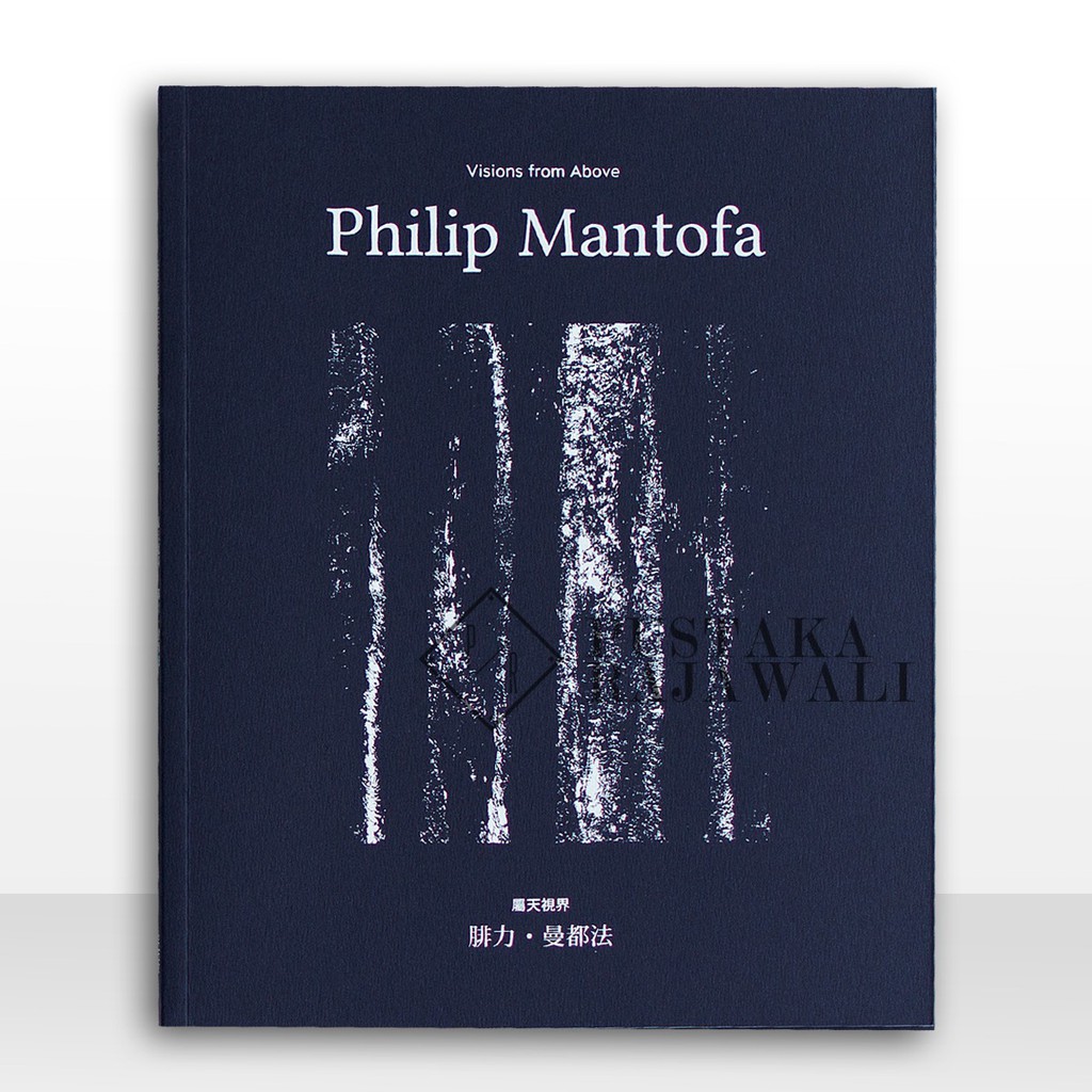 VISIONS FROM ABOVE: Buku Katalog Lukisan Philip Mantofa