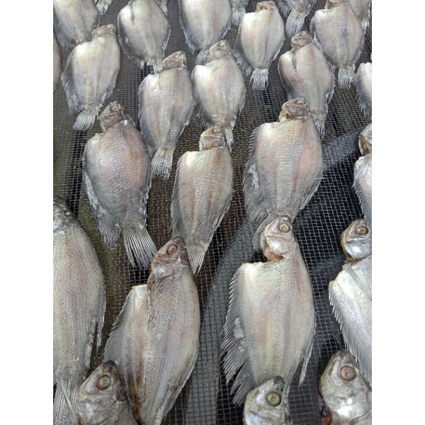 

Ikan Asin Siam