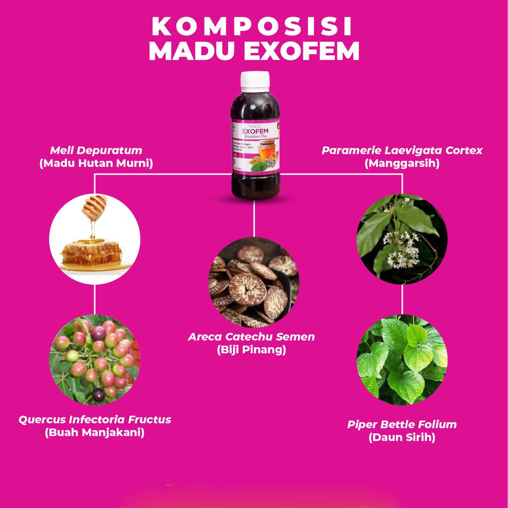 Madu Exofem Obat Herbal Keputihan Kewanitaan Bau Gatal Abnormal Haid Terlambat yg Paling Ampuh BPOM