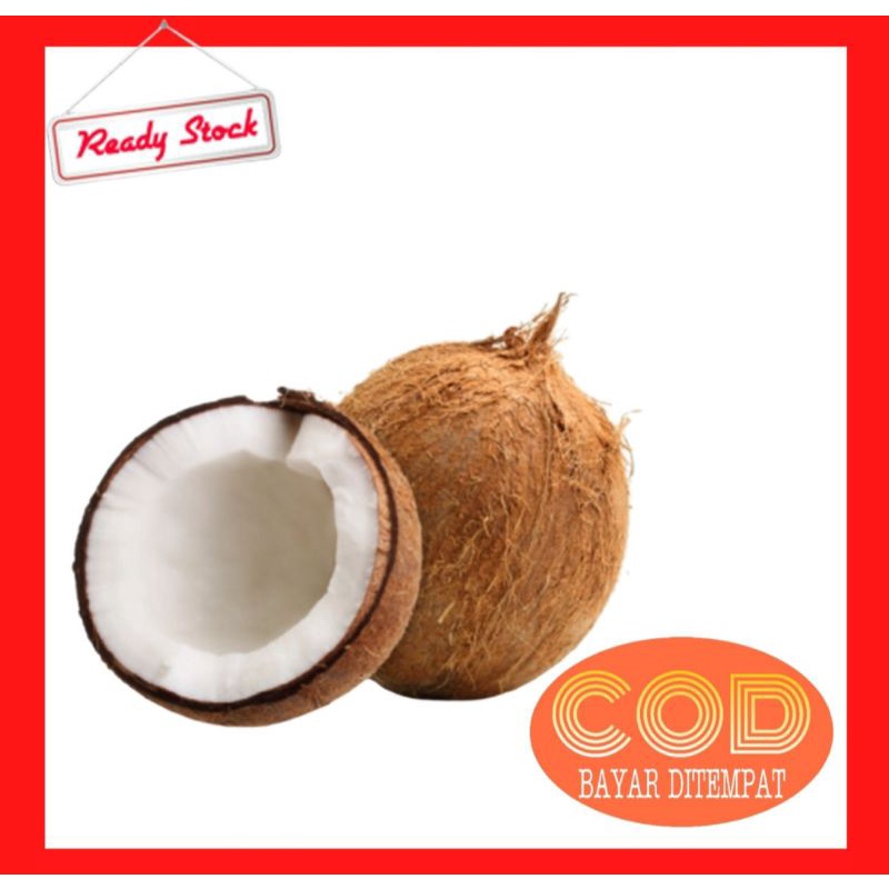 

BUAH KELAPA TUA SUPER|KELAPA TUA