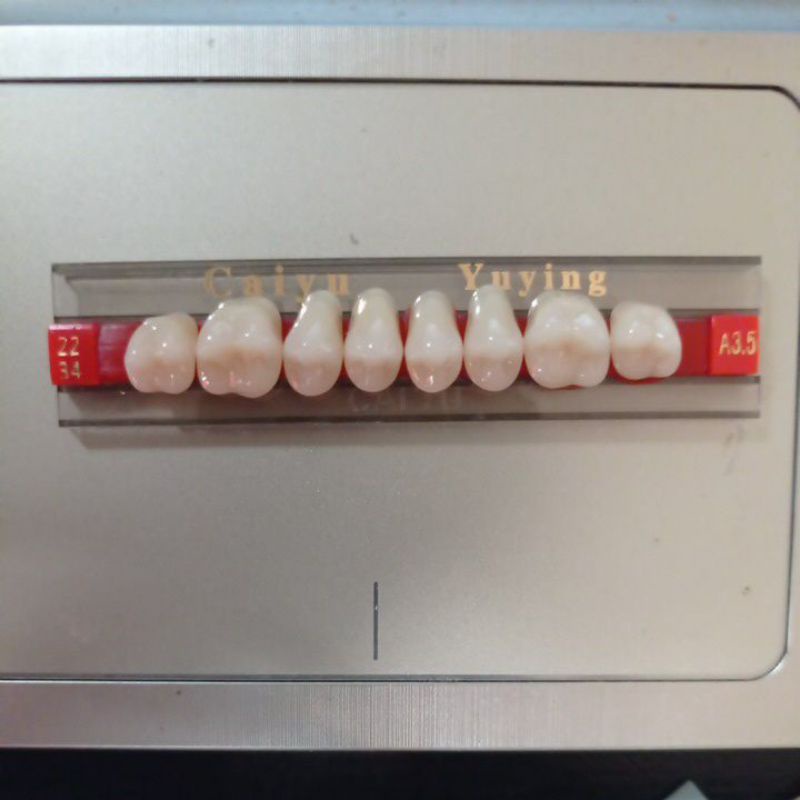 GIGI PALSU AKRILIK CAIYU ANTERIOR A3.5 - GERAHAM ATAS