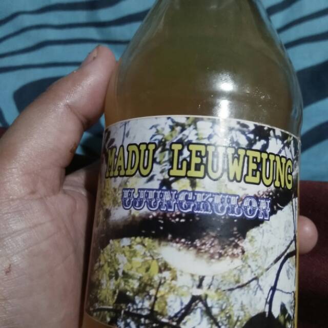 

Madu leuweung