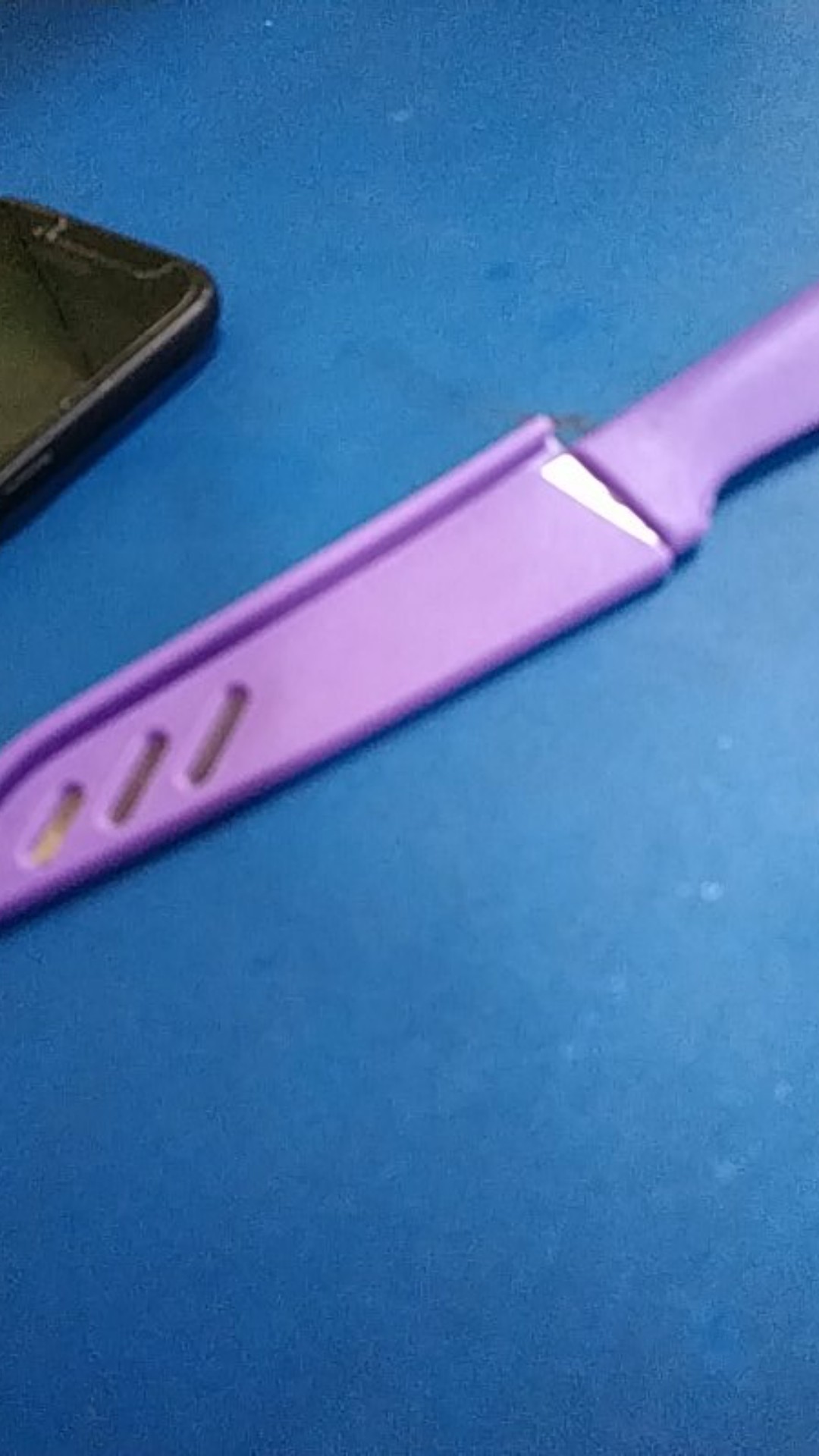 Pisau Dapur Buah Sayur Kecil Gagang Sarung Plastik