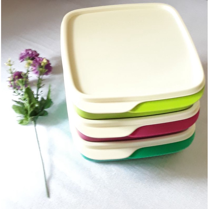 Tempat Makan Sekat Kotak Lolly Tup Tupperware