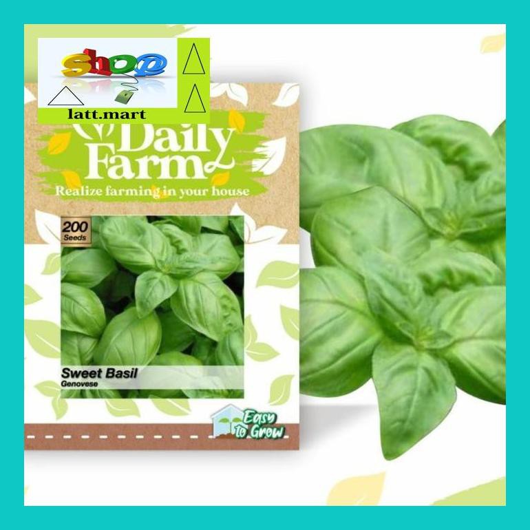 

Yu04Yts Benih Bibit Basil Genovese ( Benih Import Repack ) Yul0F40Ul