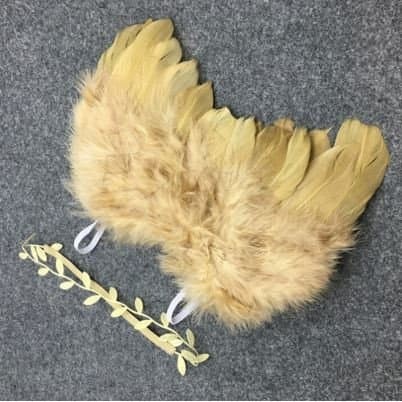 Newborn Photography Properties - Gold Angel Wing Costume S