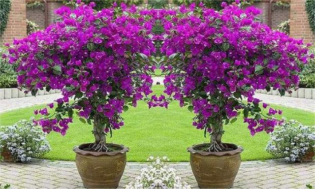 Temukan Atasan Batik Dolby Dolbi Dobby Doby Tenun Sutra Tulis Halus Katun Atbm