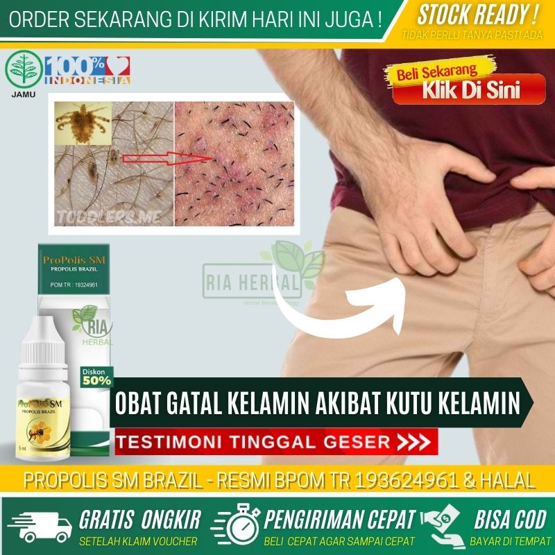 Obat Tetes Pembasmi Kutu Rambut Kemaluan Alami, Penghilang Kutu Pubis Kelamin, Telur Kutu Air Asli