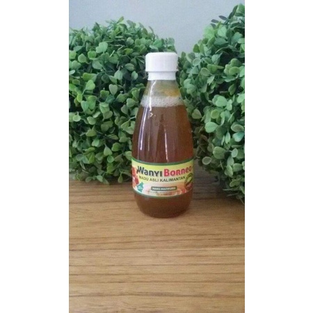 

Madu Wanyi Borneo 240ml