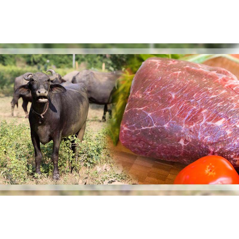 

Buffalo Meat Daging Kerbau Segar Frozen 1 Kg