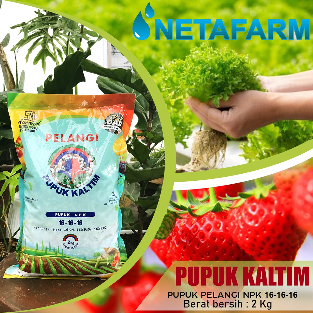 Pupuk Kaltim Pelangi NPK 16 - 16 - 16 Kemasan 2 kg