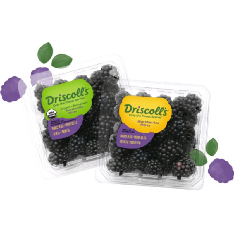 

Driscoll's Blackberries USA Asli dan Fresh 170gr