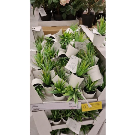 

DRONJONS FILE ORGANIZER