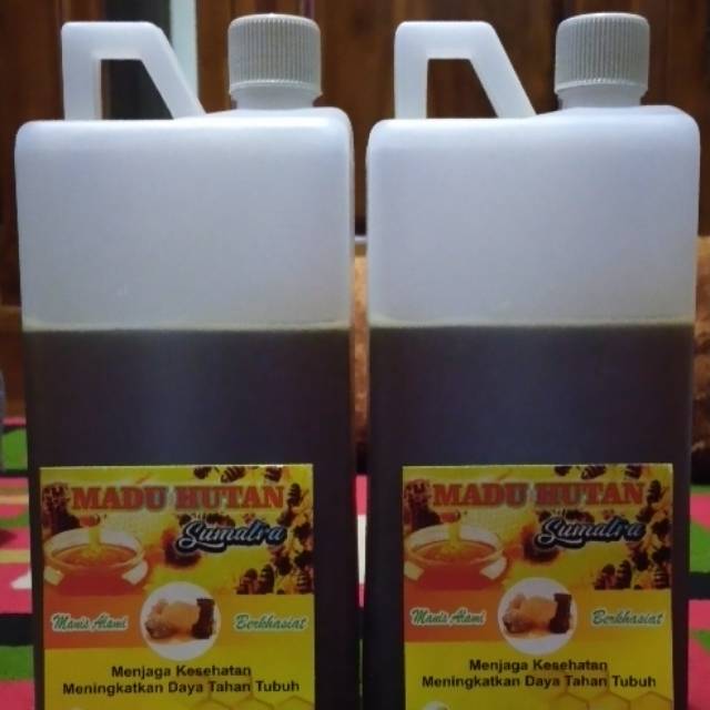 

Madu hutan sumatra 1 kg asli