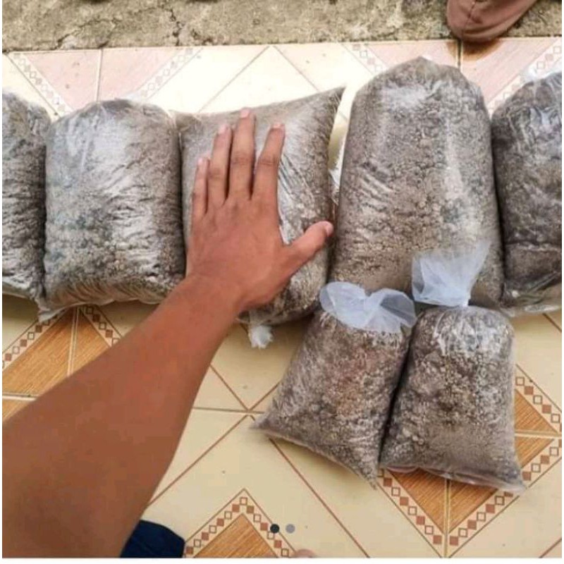 

kotoran puyuh 1kg 13.000