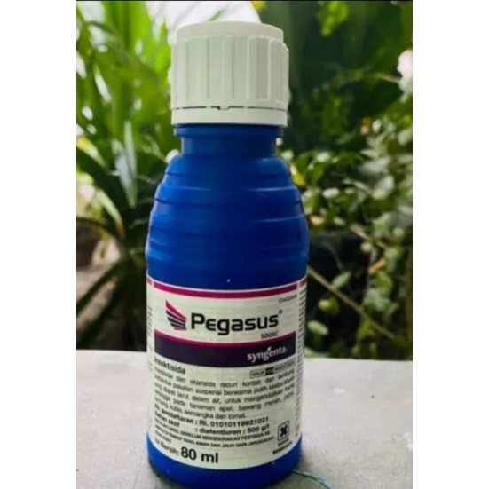 Jual Insektisida Pegasus Sc Sygenta Ml Shopee Indonesia