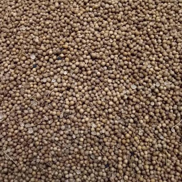 

[ READY ] Ketumbar asli alami 1/2 kg