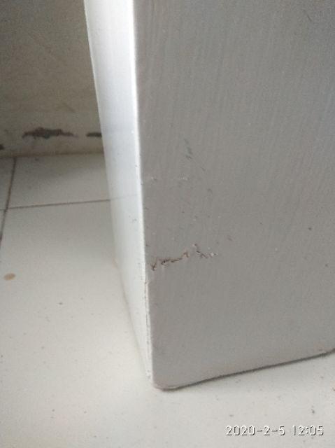 Bonsai Sudut / Bunga Sudut