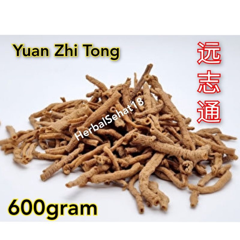 

Yuan Zhi Tong - Yuan Zhi Rou - Radix Polygalae Polygala Senega Root