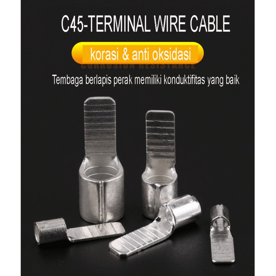 Terminal Wire Cable Connector Non-Isolatated C45 Skun Gepeng Pin