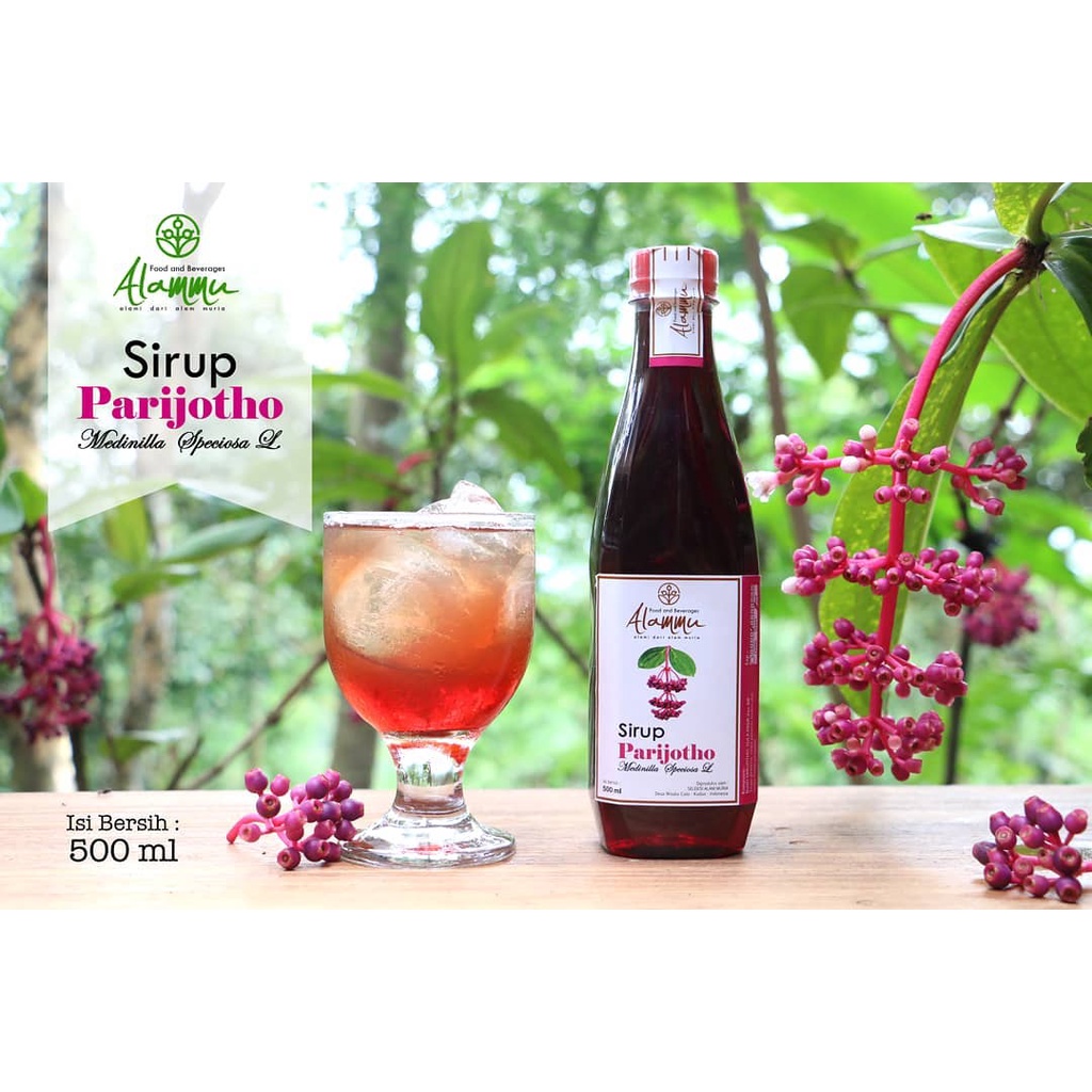 Sirup Parijoto Untuk Promil 500 ml + BUAH Parijoto  ASLI MURIA Alammu ORIGINAL