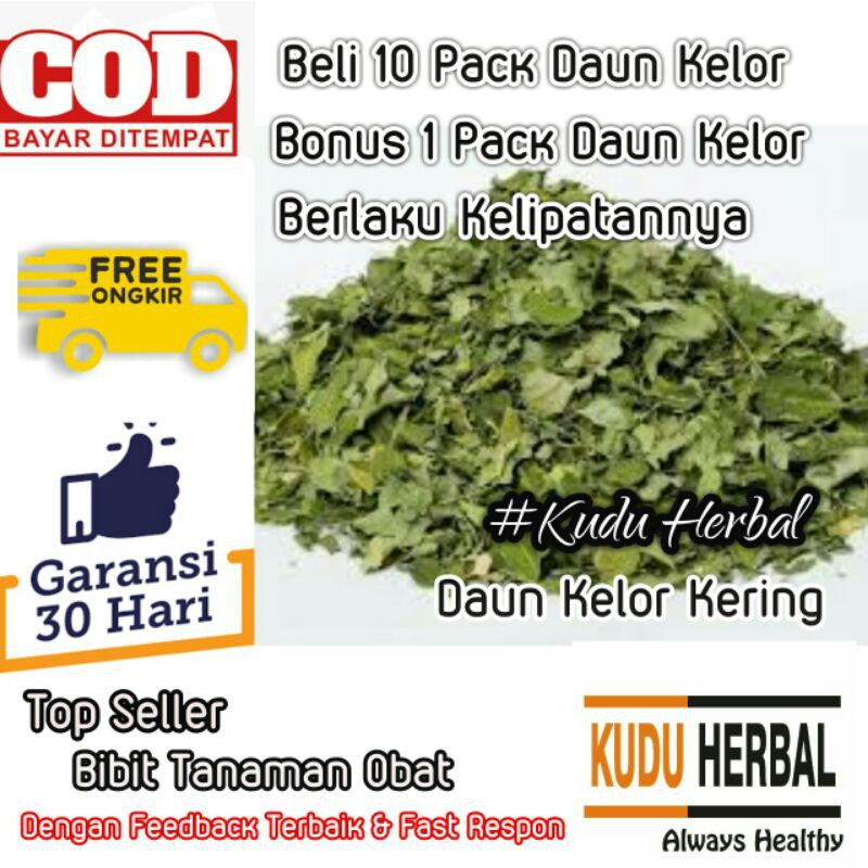 

Daun Kelor Kering I Kelor I Asli I Daun Kelor I Kelor Murni I Kelor Kering Per Pack