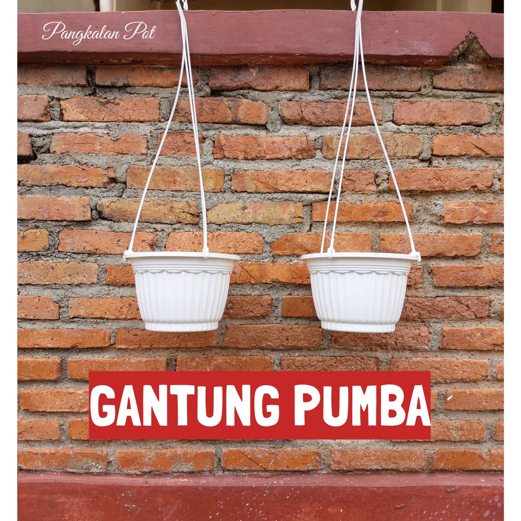 ORI Pot Gantung Pumba Tali Gantungannya Shopee Indonesia ORI Pot Gantung Pumba Tali Gantungannya Shopee Indonesia