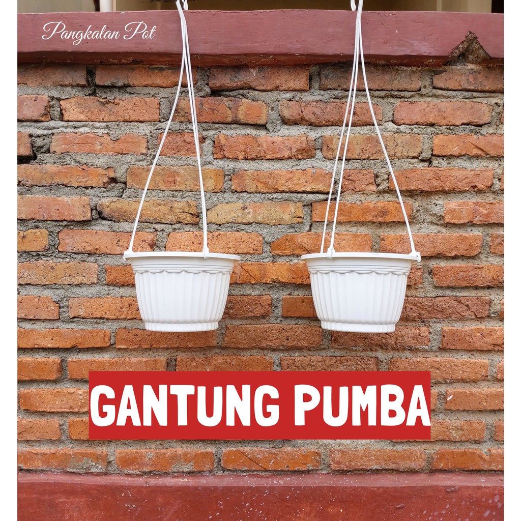 ORI Pot Gantung Pumba  Tali Gantungannya Shopee Indonesia