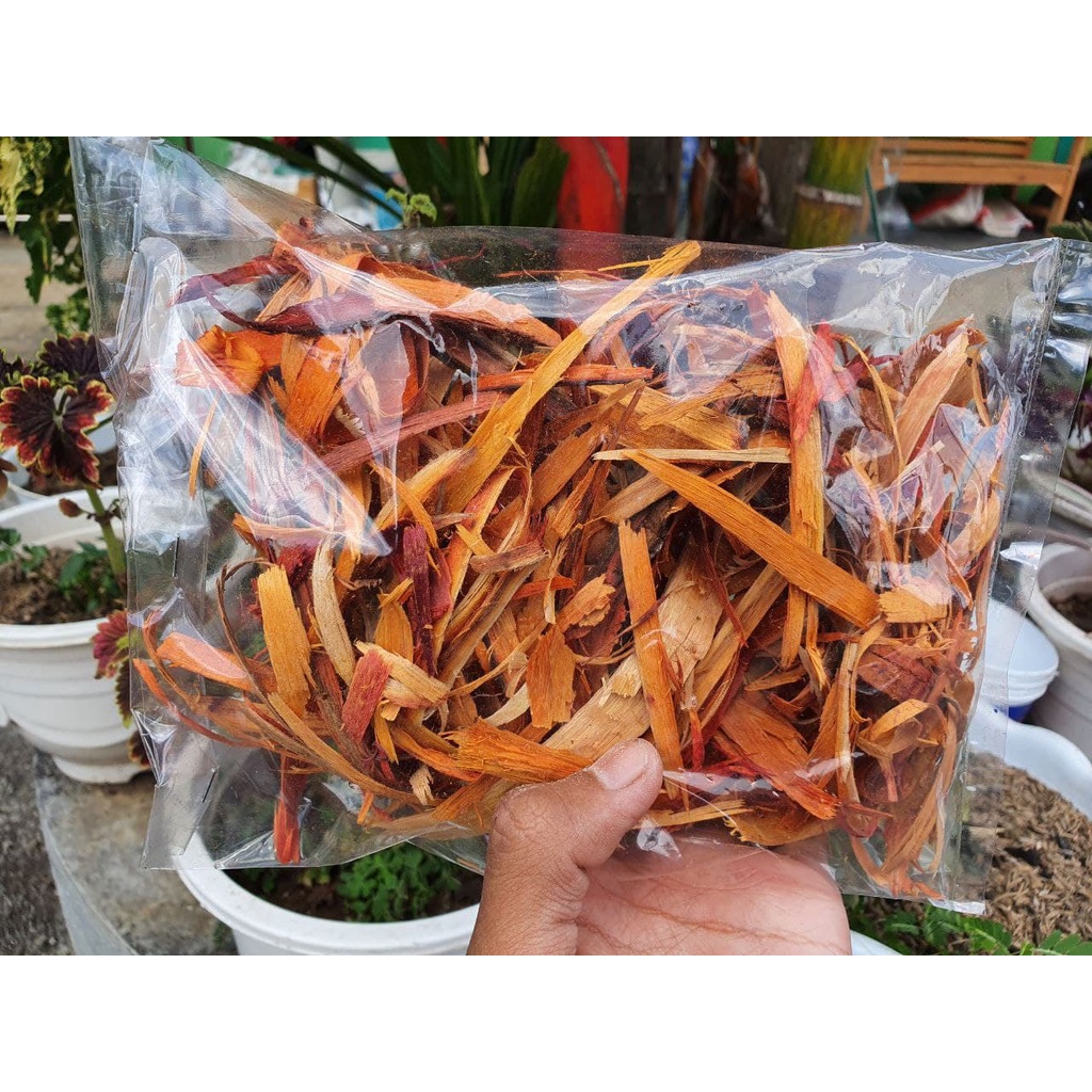 

KAYU SECANG ASLI KUALITAS PREMIUM khusus treatment channa