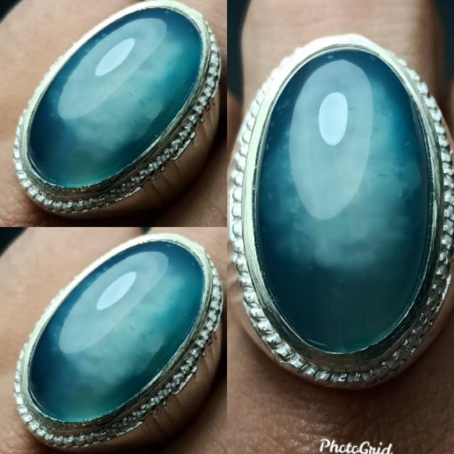 Pandan biru langit sisik klopak mayang