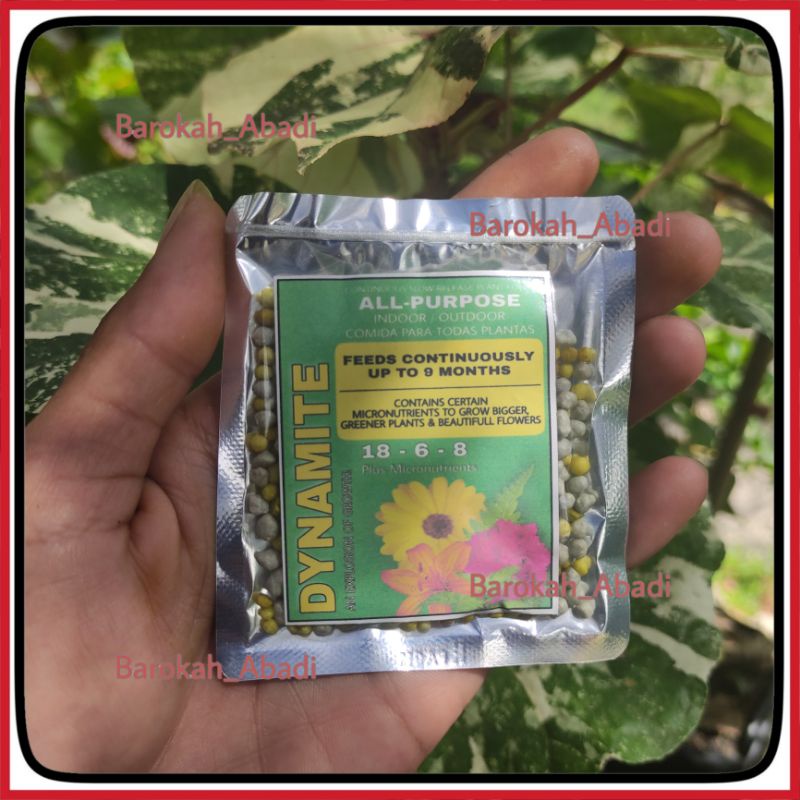 Dynamite 18-6-8 hijau 13-13-13 merah pupuk premium tanaman hias 20 gr
