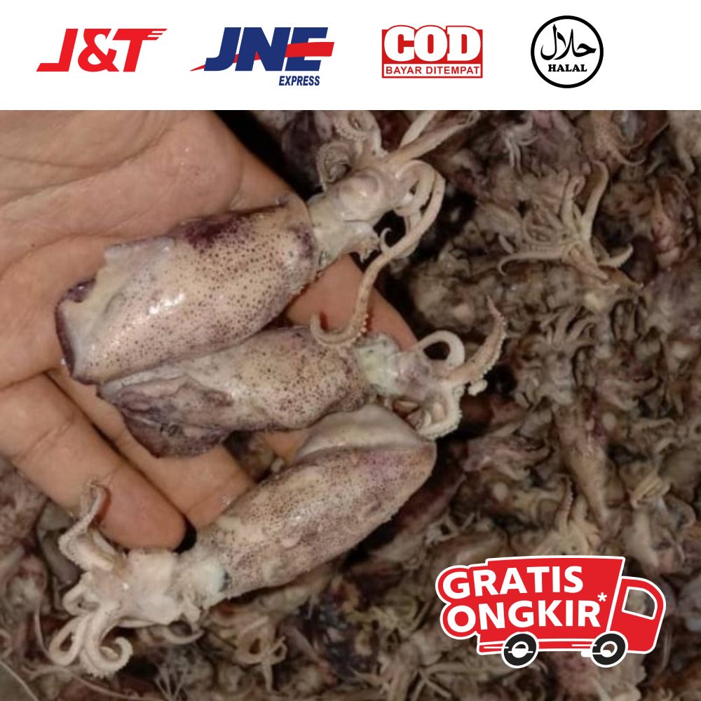 

Cumi telor asin medan cumi kering asin medan cumi medan 500 gram asli medan