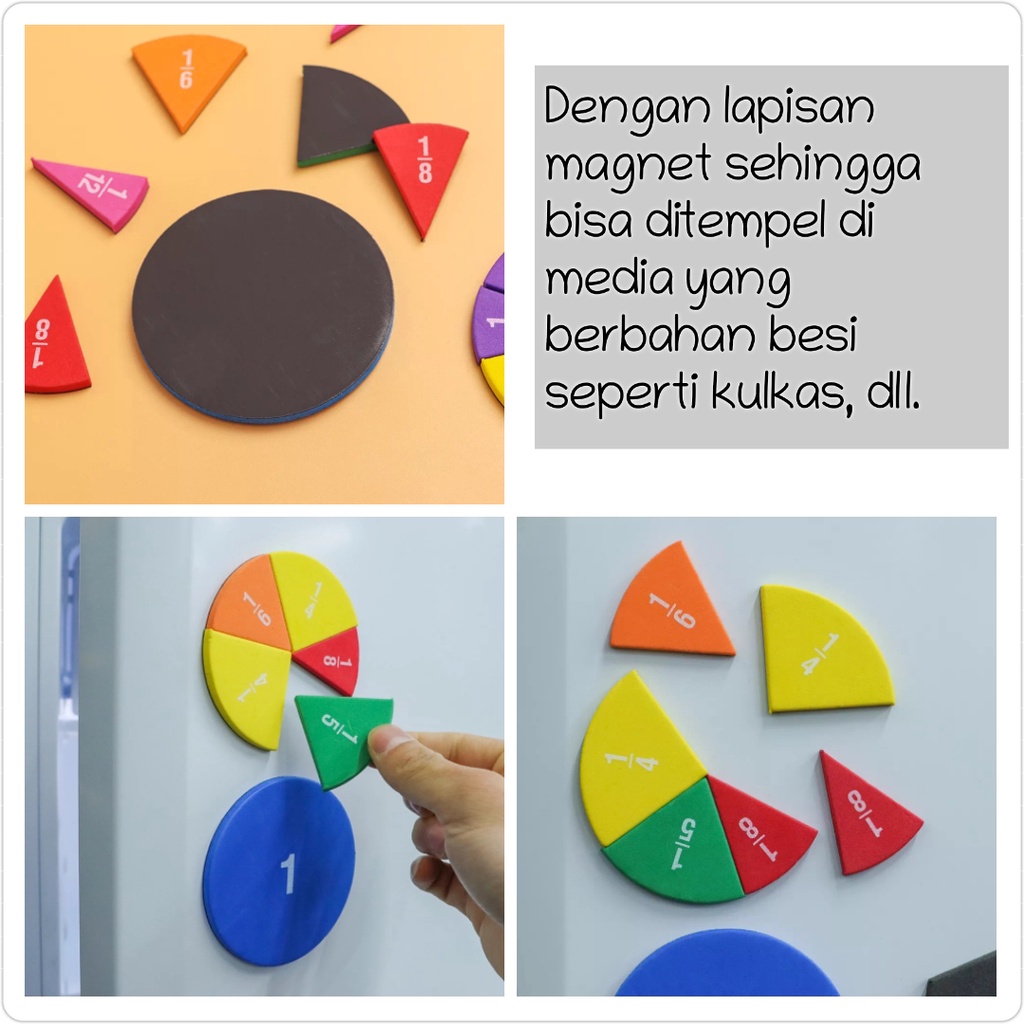 Mainan Montessori Eva Magnetic Fraction disc Belajar Pecahan