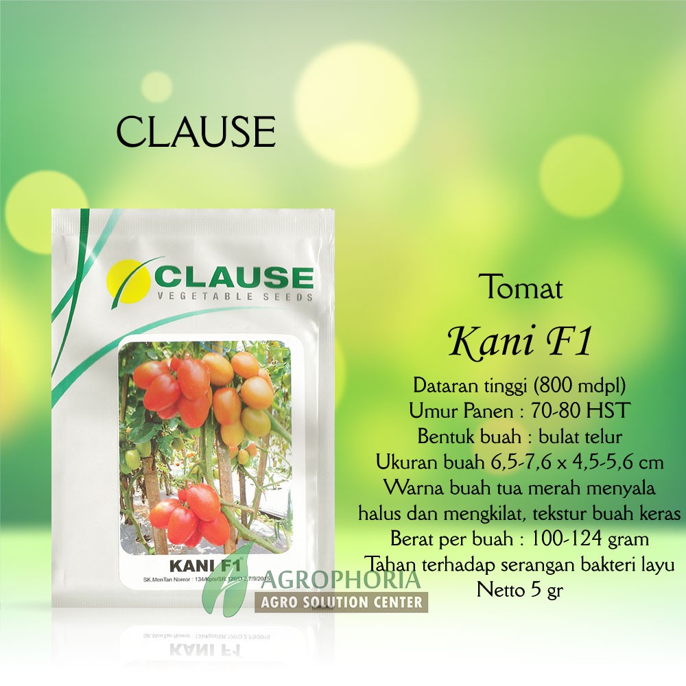 Benih Tomat Kani F1 5 Gram - CLAUSE