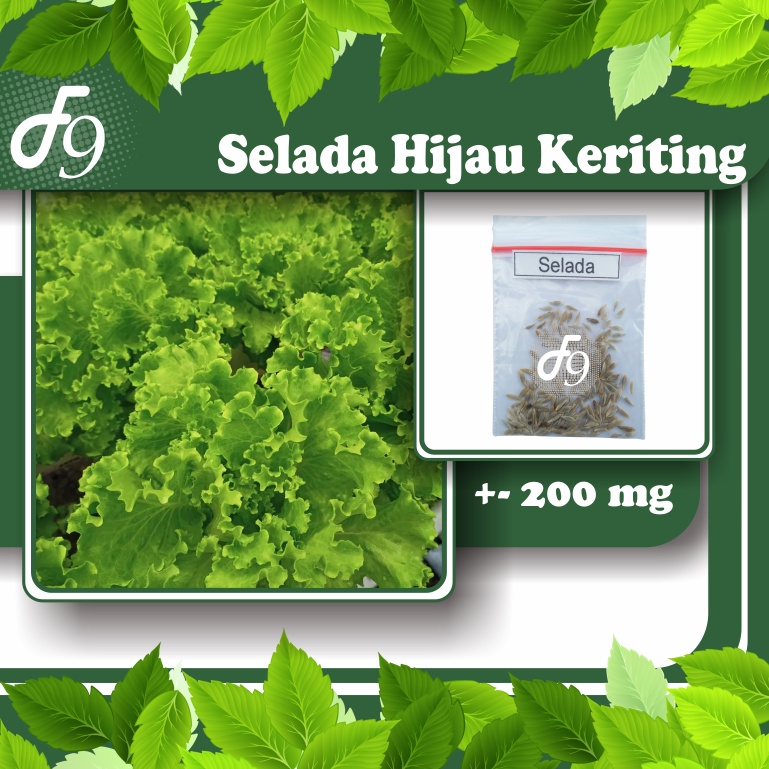 Benih Bibit Sayuran Daun Repack Murah Seribuan