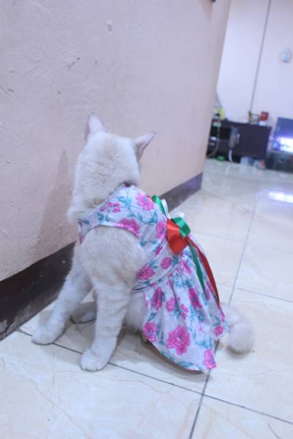 Dress kucing motif bunga-bunga pink lucu untuk kucing dan anjing / baju kucing murah size S-XL