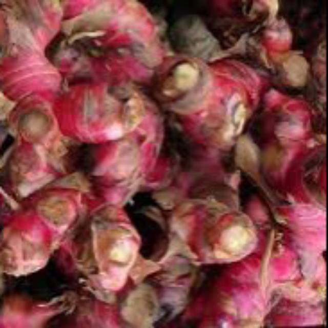 

Jahe merah 500 gram